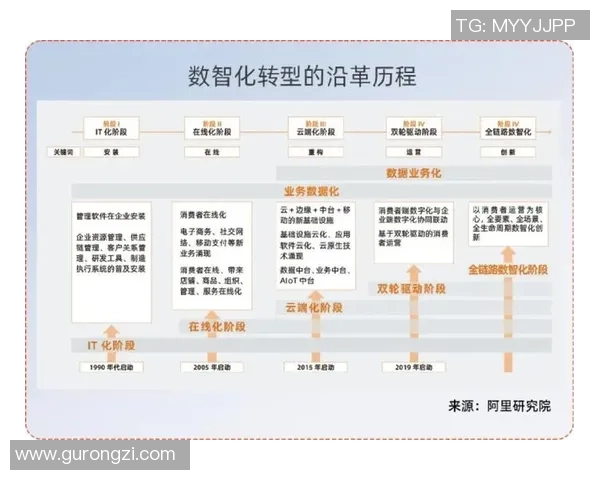 杭州排球队转型之路揭秘：从传统强队到现代化竞技新标杆